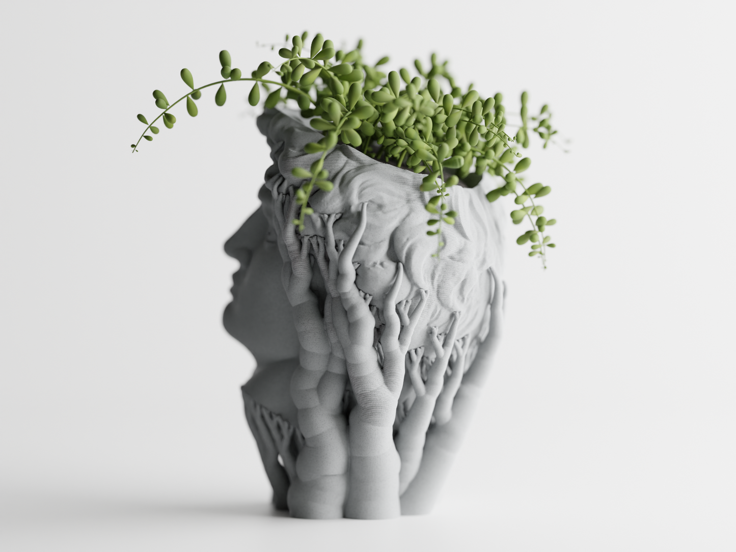 Organic David Planter Home Decoresion Eco-Friendly Pots