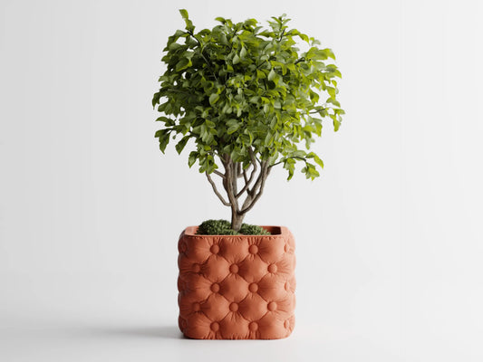 Plant Pot Chesterra – Luxury feel. Natural soul. Flower Pot Home Decoretive Eco-Friendly