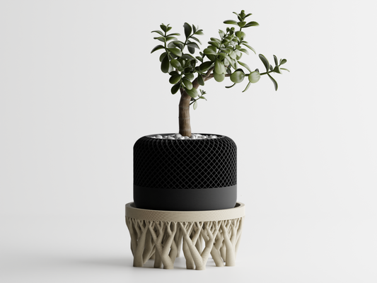 Oragnic Bowl / Planter Stand Home Decoresion