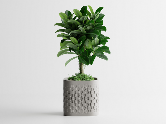 Plant Pot Flowform Home Decoration Eco-Freindly Pots