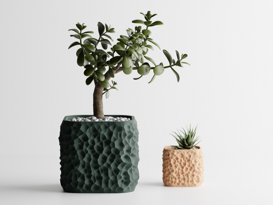 Plant Pot TerraForma Home Decoretion Eco-Friendly pots